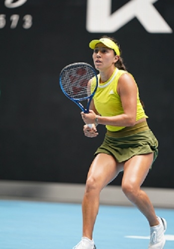 冠经验的球 冠经验的球