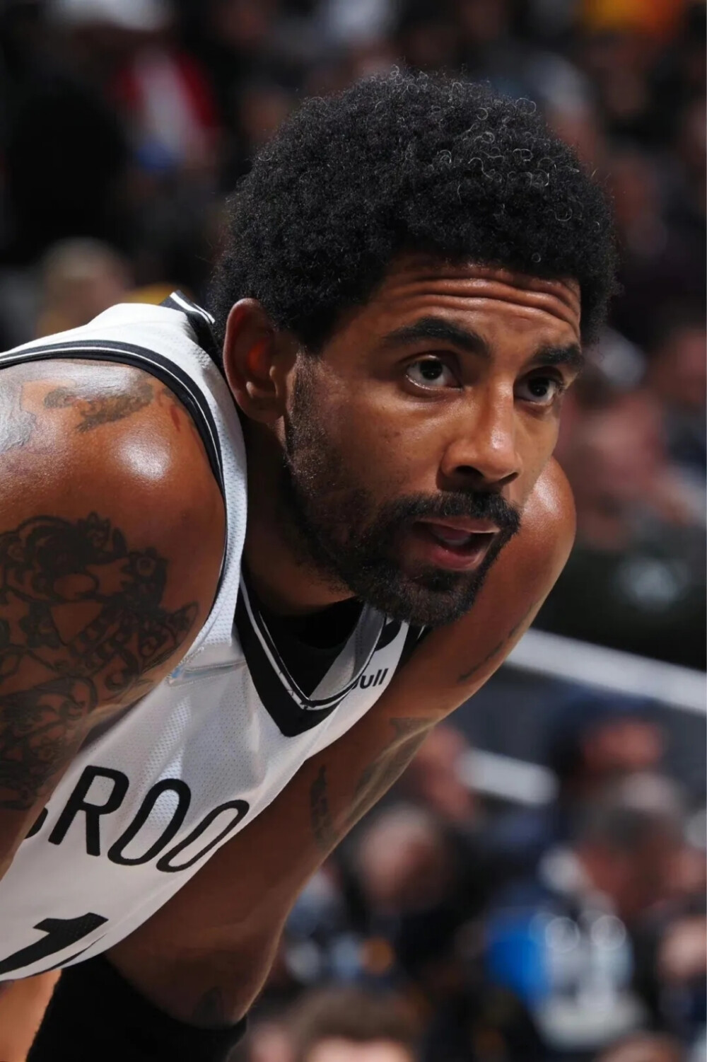 据和表现上 据和表现上