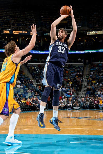 多样化与速 多样化与速