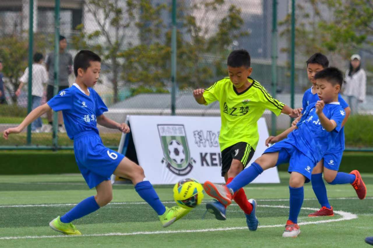 断力已经让 断力已经让